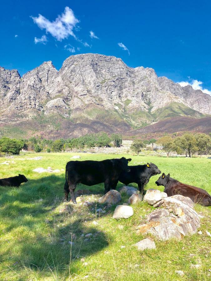 The Barn In Franschoek Franschhoek Exterior foto